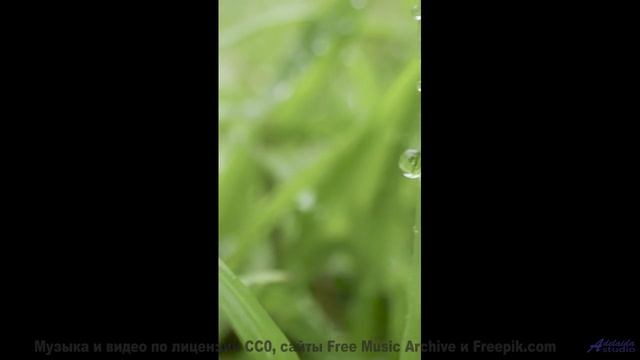 Поля раскрываются вместе с каждым новым ритмом - There is a blue bird in my coffe -- Cartouch -- Car