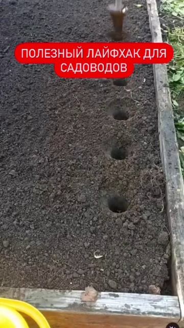 Полезный лайфхак для садовода