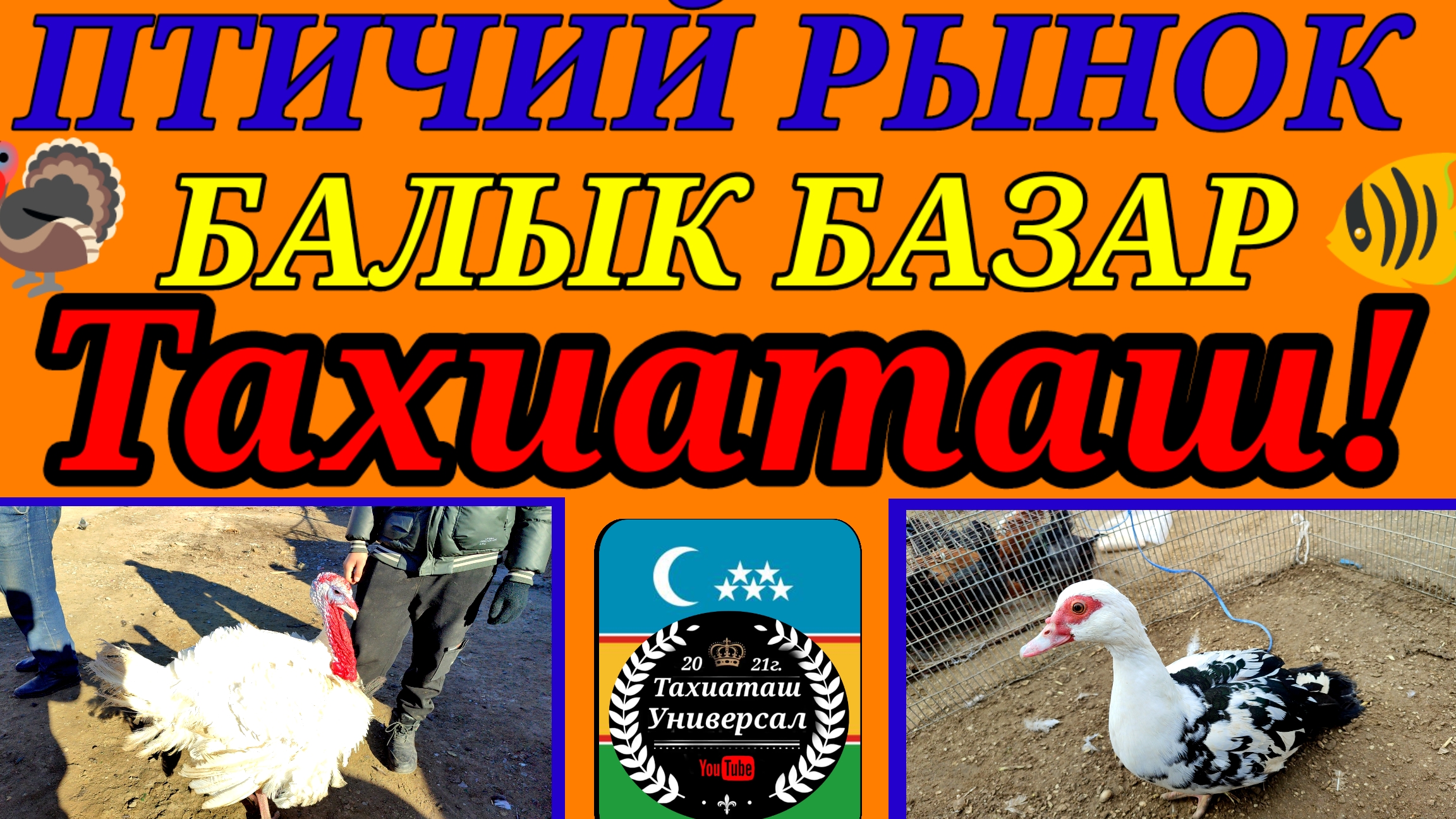23-06-2025 ПТИЧИЙ РЫНОК 🐓