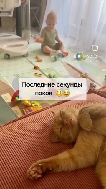 Смотри описание