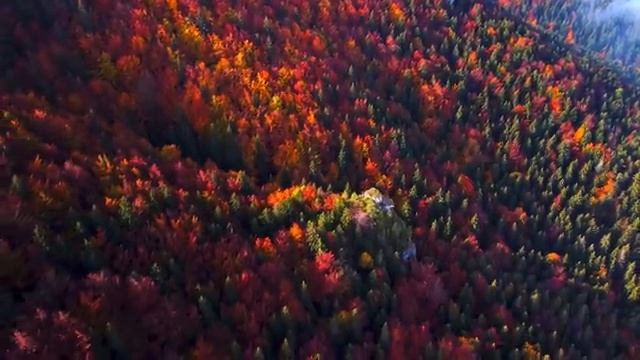 Медленные облака и мелодии природной тишины – Часть 11