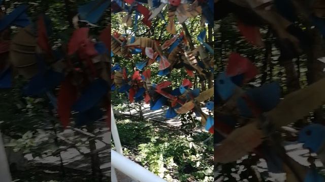VID_20210729_080705