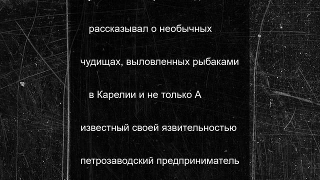 Рекордных размеров щуку выловили в Карелии