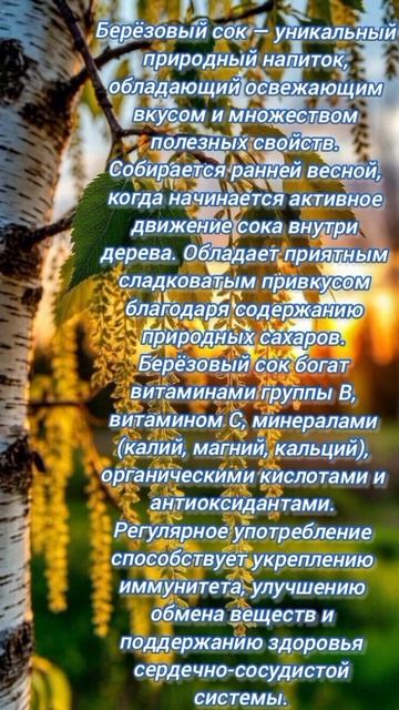 #лечебныерастения #растения #свойства #природа #лекарства #лечебныесвойсва  #хочувтоп #природнаяапте