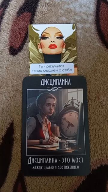 дисциплина.mp4