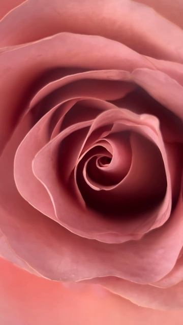 Крем «Роза» для ухода за кожей рук и ног🌹