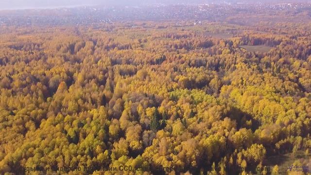 Мелодия, превращающая заднее сиденье в лучший номер отеля - A1-Zanne nel velluto -- Rien Virgule --