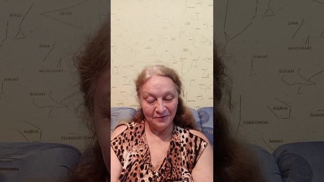 Провокация моя
