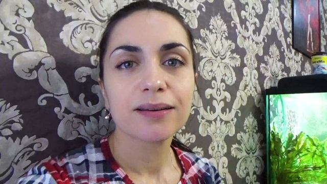 Пересаживаю цветы в грунт Seramis