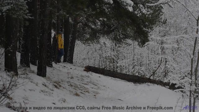 Кадры, обработанные алгоритмами будущего - ваш мозг не поверит! - Loss For Words -- Big Quiet -- Liv