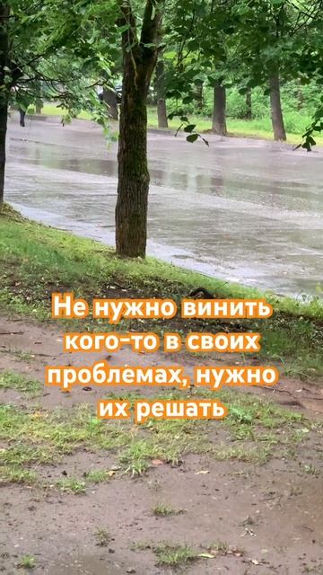 Действовать