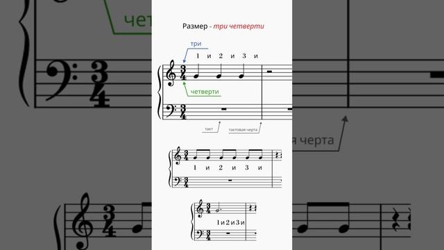 Размер в музыке | Уроки фортепиано