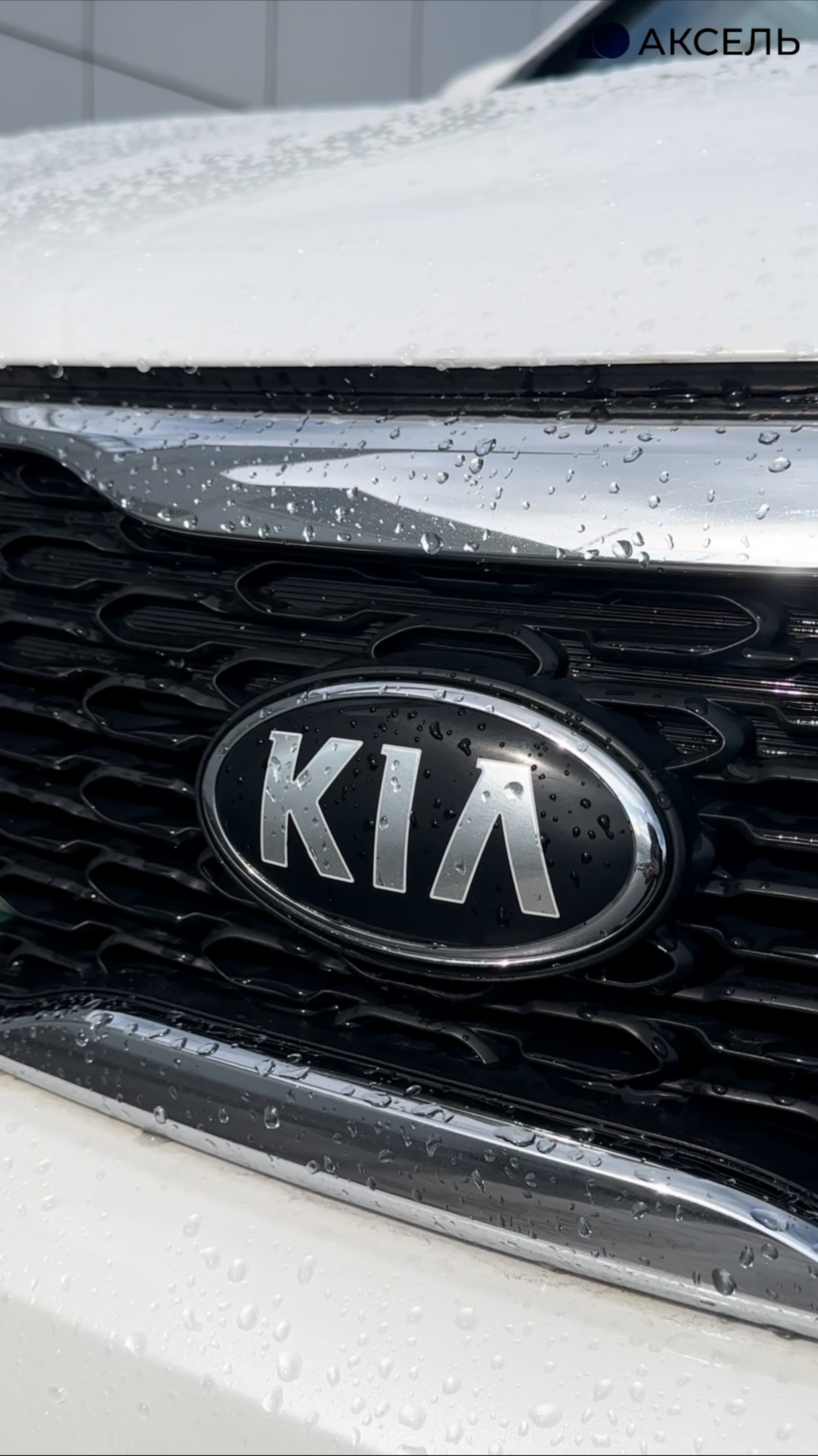 Аксель. Проверенные автомобили / KIA SORENTO, 2019