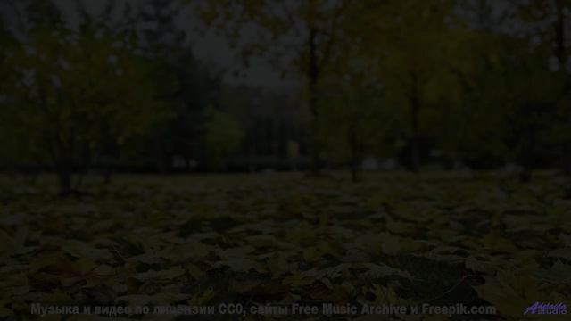 Почему рыбы в аквариуме сходят с ума от этой мелодии - Soft (Lonely Mix) -- Quint Baker -- Psychic C