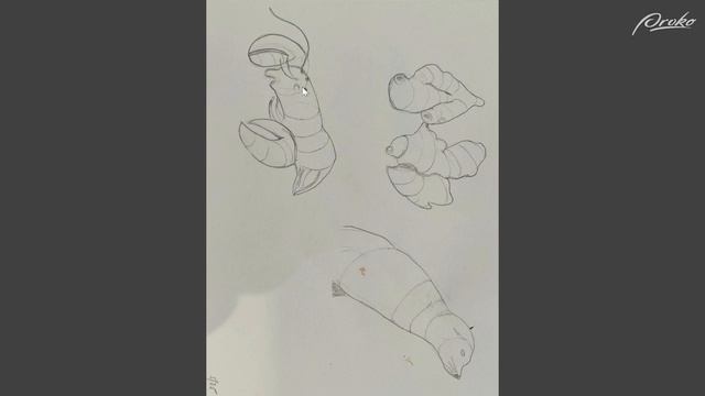 104. critique-cross-contour-on-organic-forms
