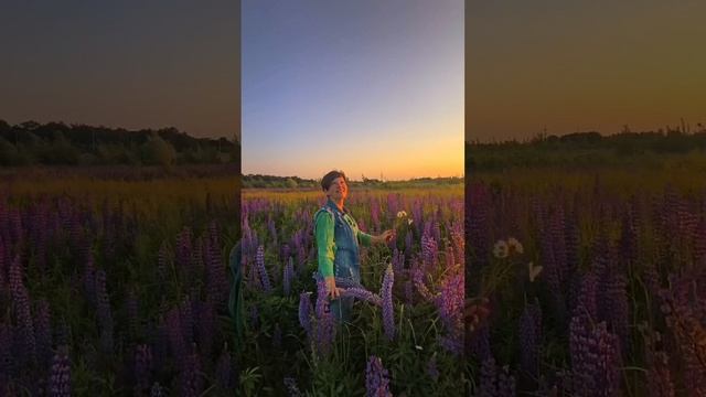 1000352995.mp4