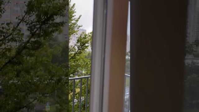 video5384087834518910492