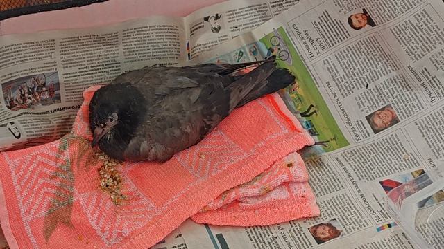 VID_20250622_121203