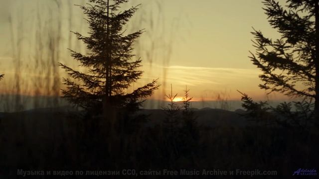 Звуки, используемые для телепортации - первые эксперименты! - Robot Park -- Podington Bear -- Haples