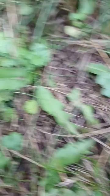 первое видео на моём канале