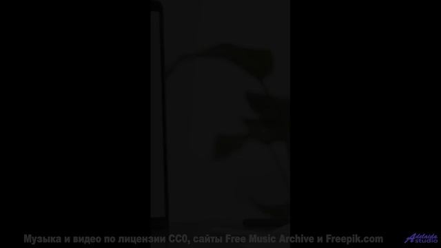 Каждая нота идеально ложится на зелень и небо - Ultraviolet -- A. A. Aalto -- Connections