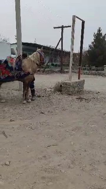 1000040476.mp4