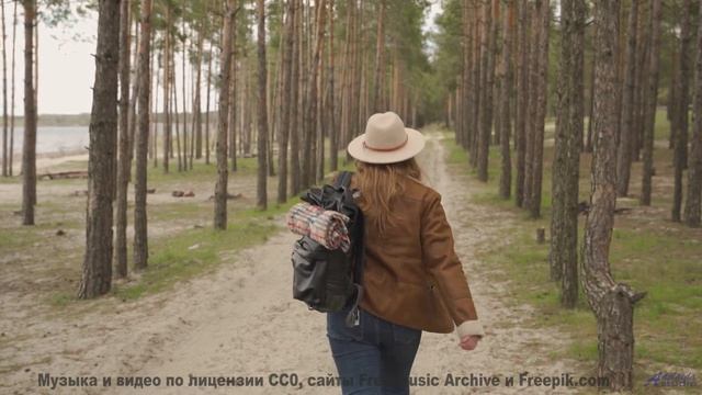 Скорость, адреналин и звуки, от которых сжимаются кулаки! - Boppin-til-Bed -- Ketsa -- Summer With S