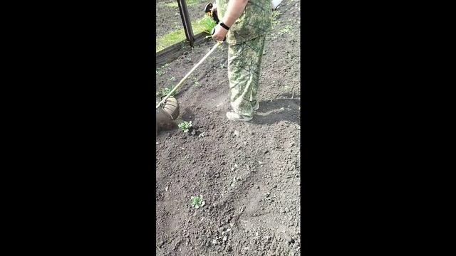 Мототяпка
