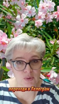 260. У тебя для этого всё есть...