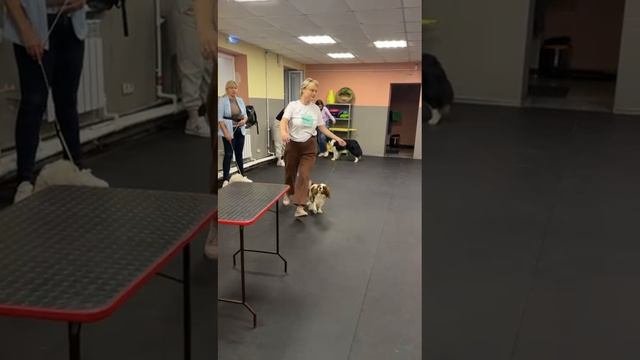 1000074626.mp4
