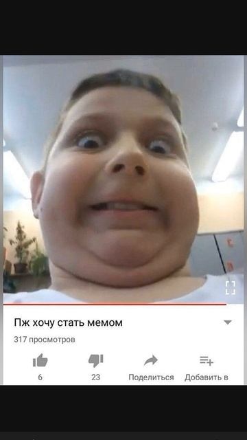 пж хочу стать мемом ригла