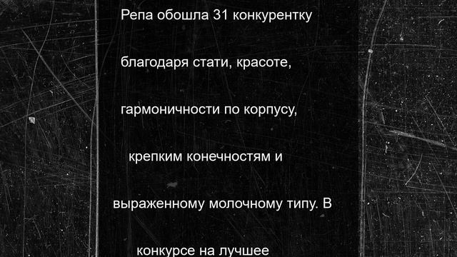 В Рязанской области выбрали самую красивую корову: фото тёлочек