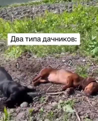 Красноярские походы, подробнее на стене группы