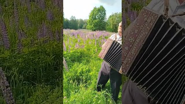 Деревенька