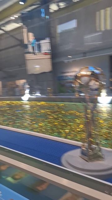 1000054331.mp4