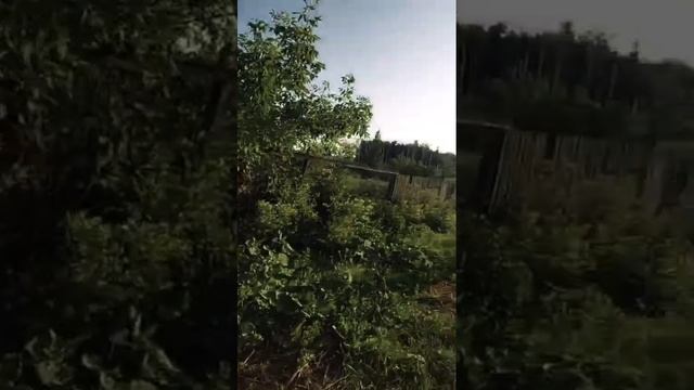 POV:приехала к дальним родственником в деревню