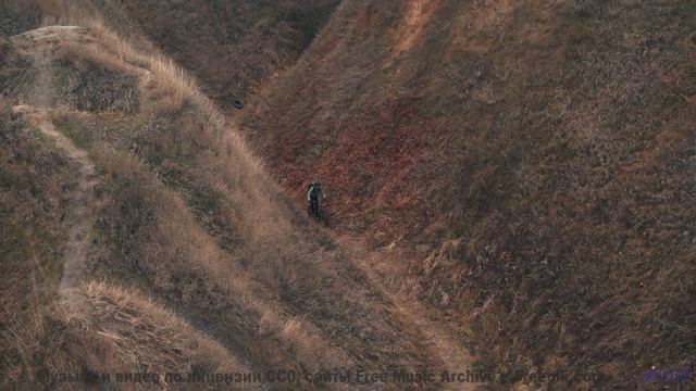 Эта композиция лечит болезни - фантастика становится реальностью! - Pop Goes the Mullberry Bush -- N