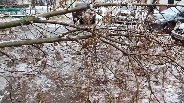 Последствия циклона "Ольга" в Волгодонске.