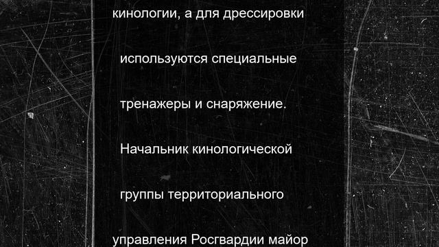 В Смоленской области кинологи Росгвардии отметили профессиональный праздник