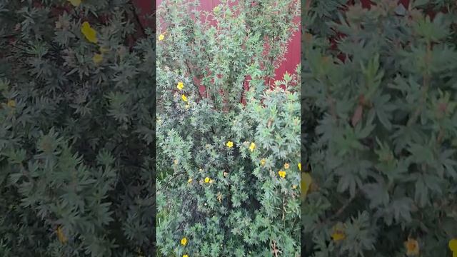 22-06-2025 всё в кучу