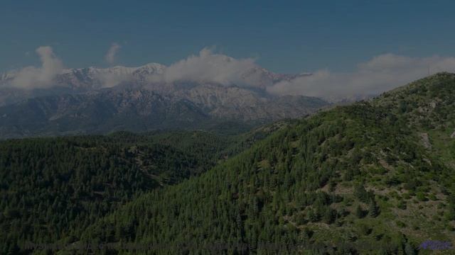 Музыка врывается в сердце как шторм чувств - Driven To Success -- Scott Holmes Music -- Corporate +