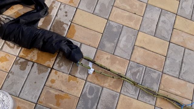 Подготовка к пересылке. часть 2