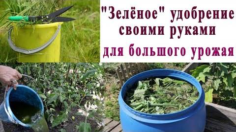 🌿ЗЕЛЁНОЕ УДОБРЕНИЕ СВОИМИ РУКАМИ🌿"БРОДИЛКА ИЗ ТРАВЫ"- ДЛЯ БОЛЬШОГО УРОЖАЯ