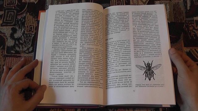 "Насекомые" (Юрий Дмитриев, 1997)