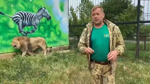 Львы в этом же парке загрызли управляющую, которая проработала там 18 лет. Это произошло в октябре