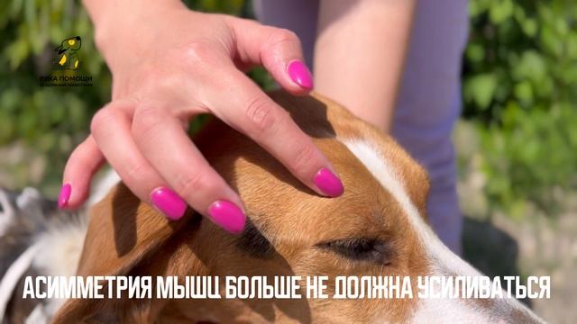 Результаты МРТ Милагрес. Поддержать⬇️