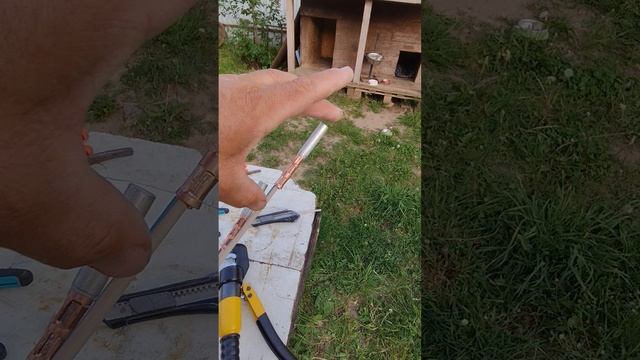 1000030261.mp4