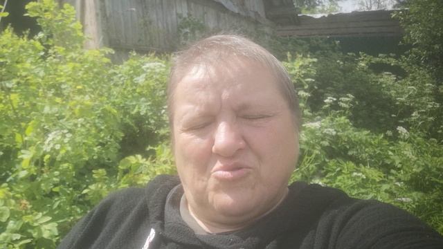 Погоды в наших краях стоят отвратительные, Ленинградская область