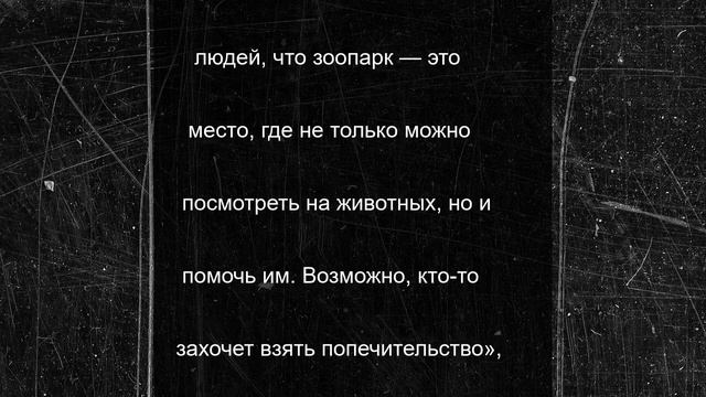 Владикавказский зоопарк планирует ввести шефство над животными