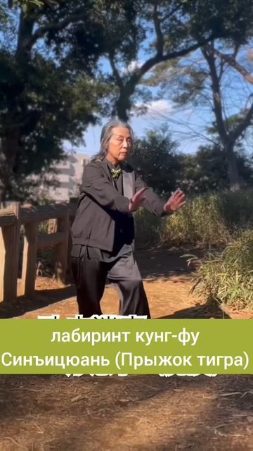 Лабиринты кунг-фу Синъицюань